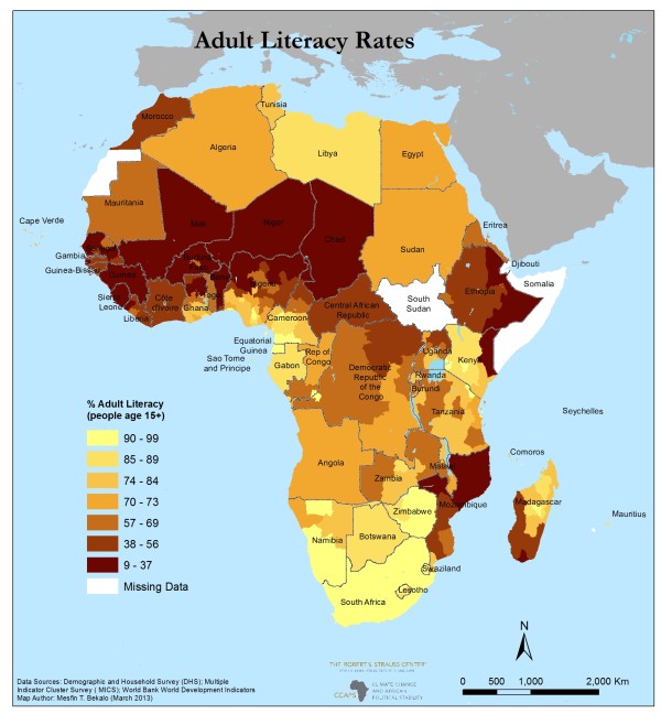 New Subnational African Education and Infrastructure Dataset  Duck of Minerva