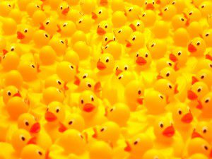 Rubber_ducks