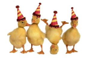 NYE ducks