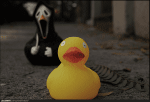 scared-duck-55328