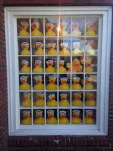 Ducks window capecod