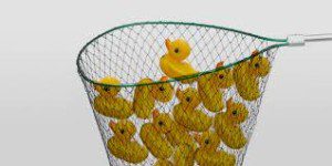 duck net