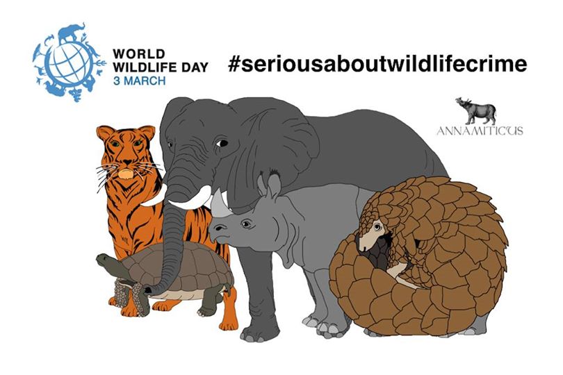 World Wildlife Day is Today: A Poaching Crisis Threatens Iconic Wildlife with Extinction