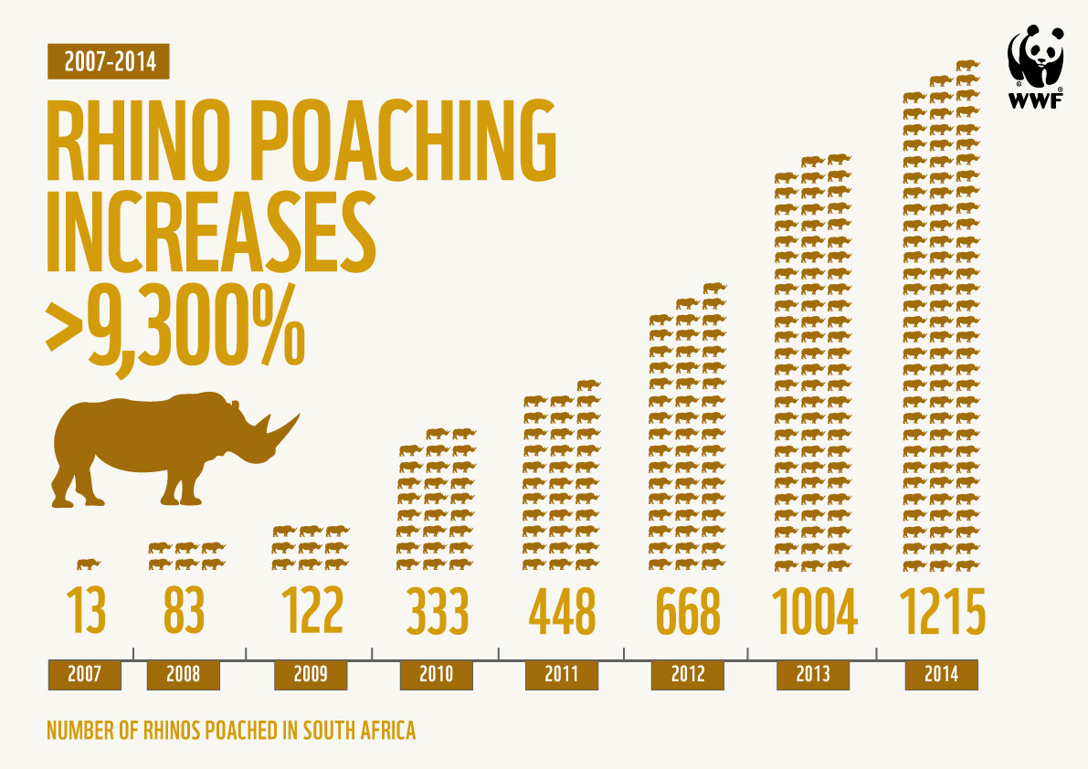 Iconic Wildlife Species Threatened With Extinction