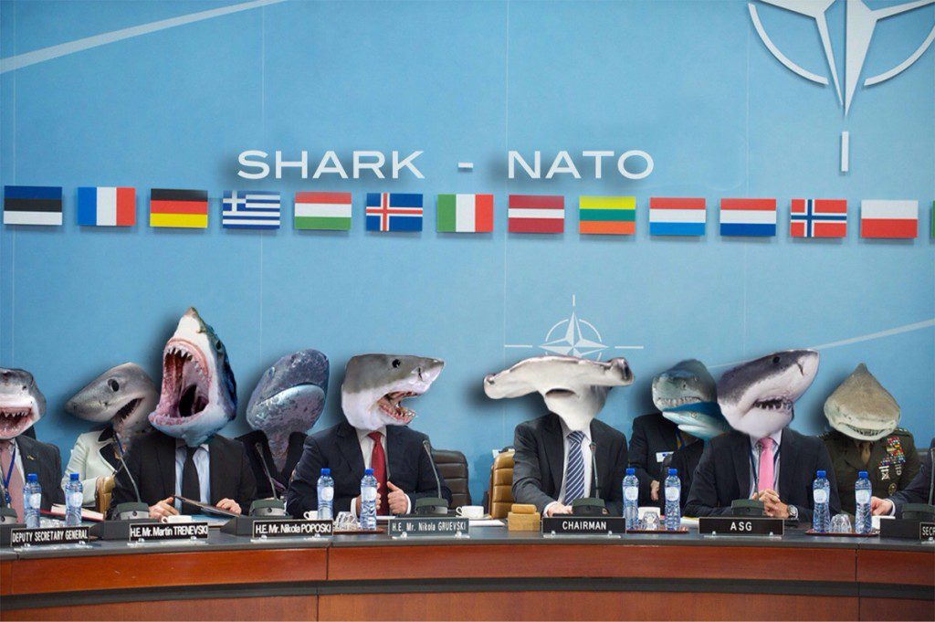 sharknato