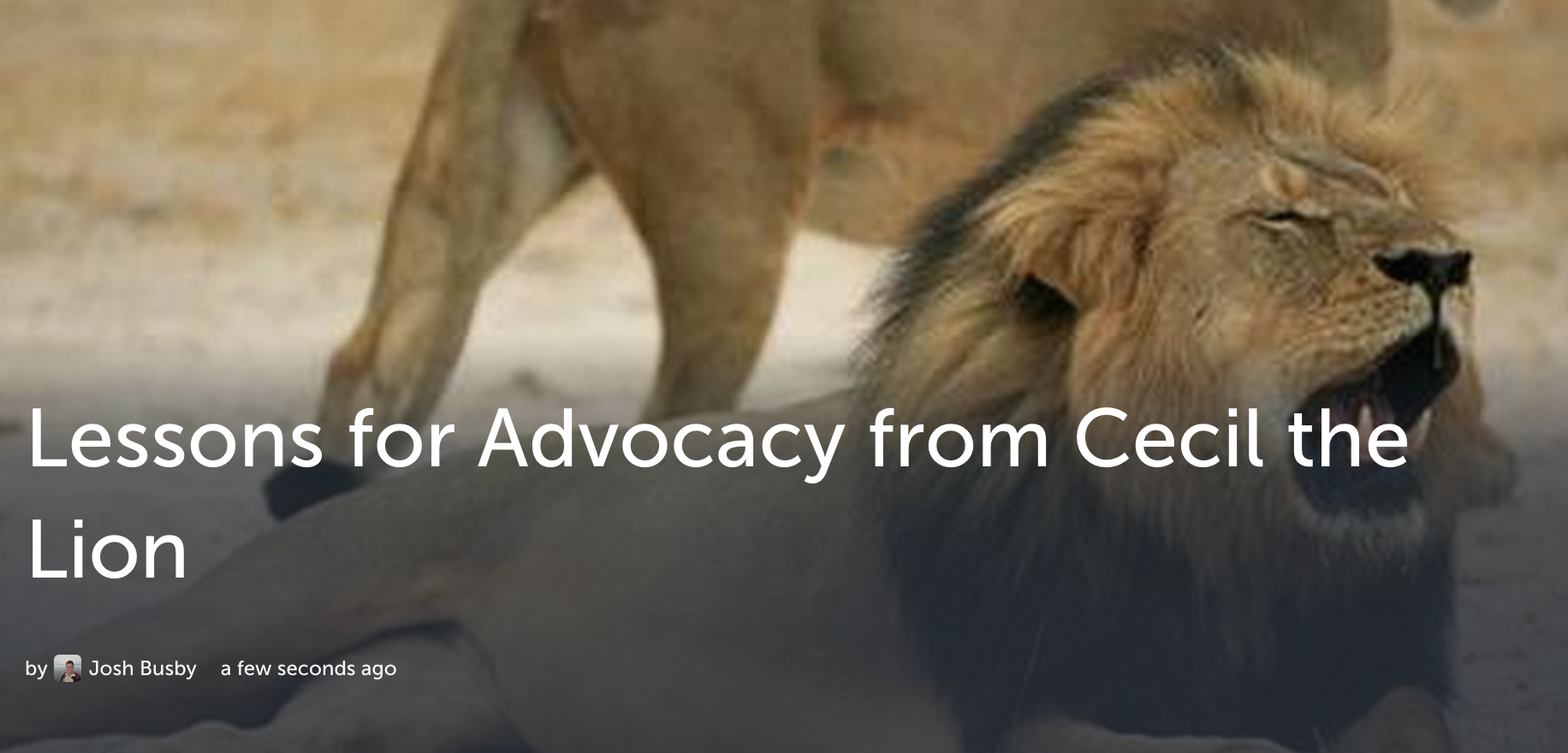 A Storify post on Cecil the Lion