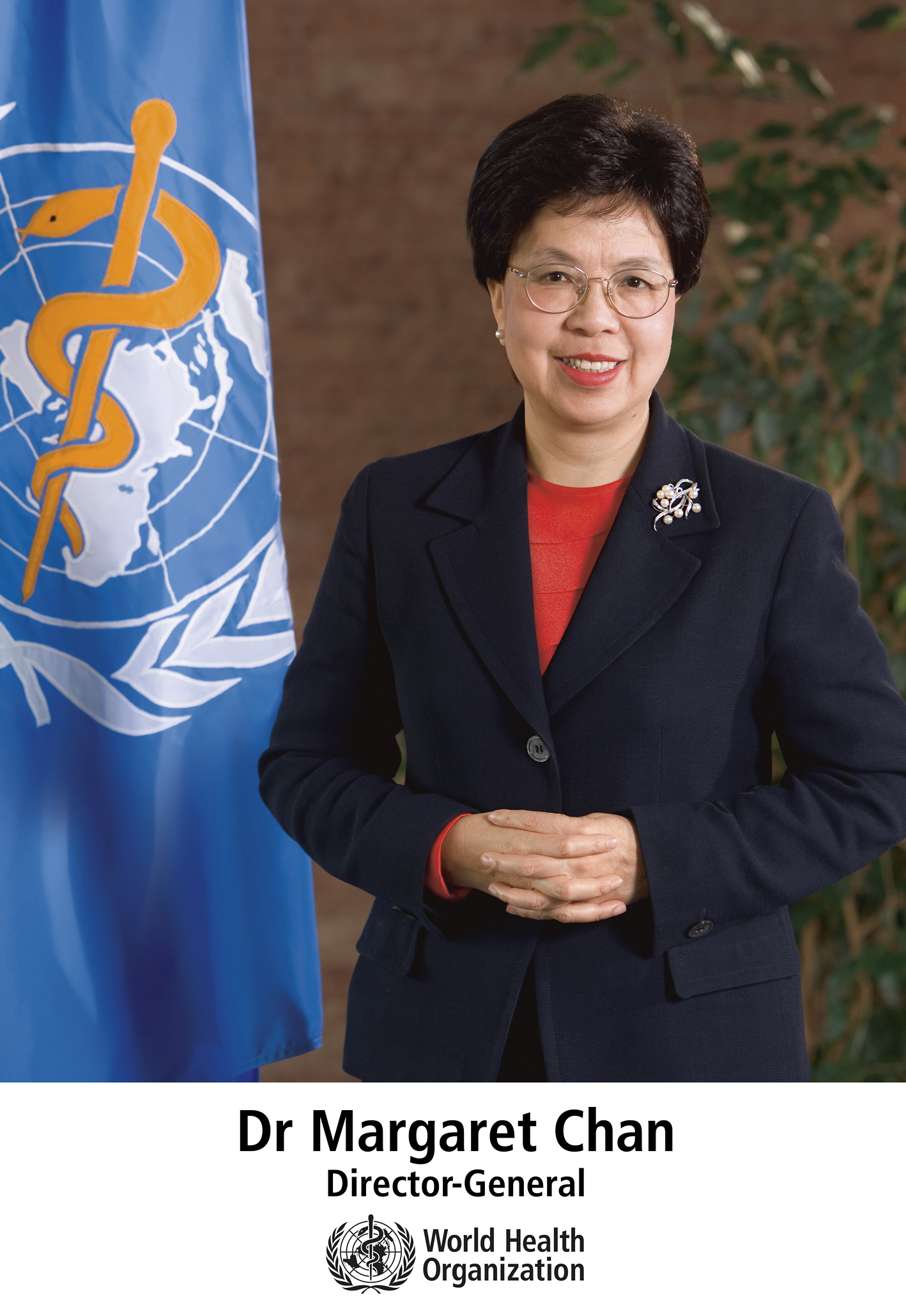 So You Want to Be the Next Director-General of the World Health Organization…