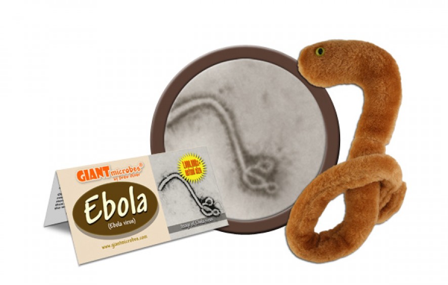 Ebola 2.0?