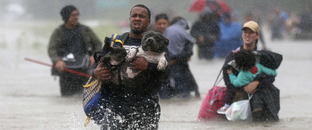 Duck Forum on extreme weather events and climate change