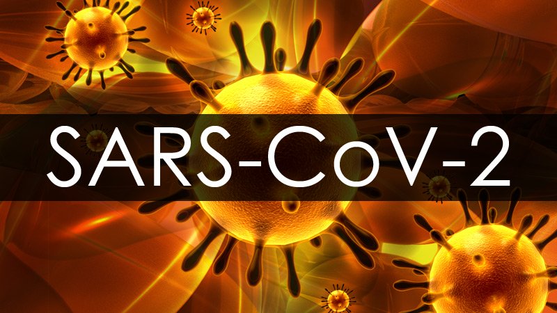 What coronavirus can tell us about Health Emergencies past, and its future