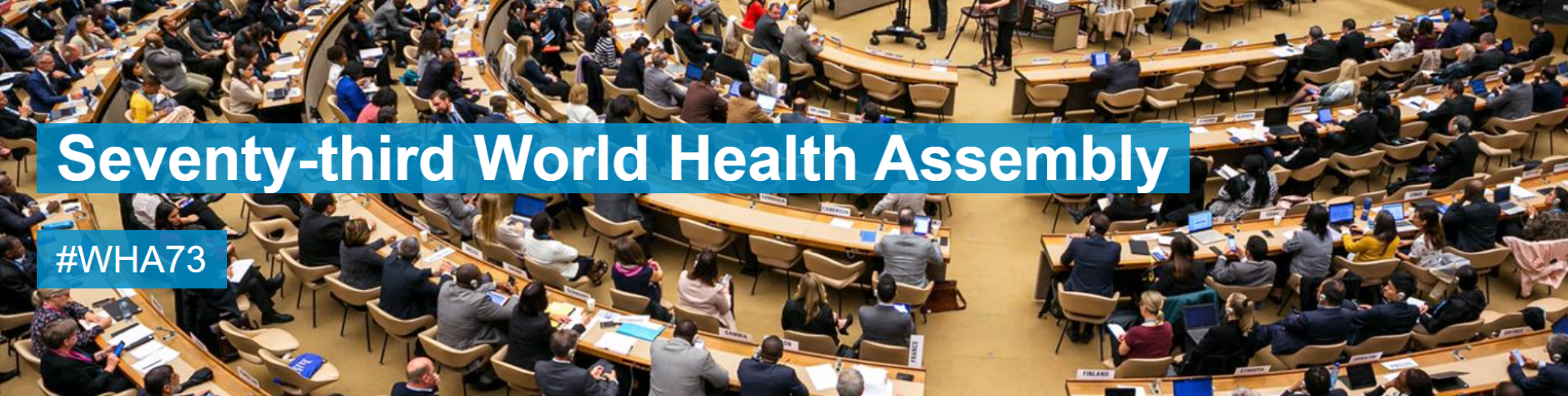 The World Health Organization already has a review mechanism: here’s how it works and how it can be better