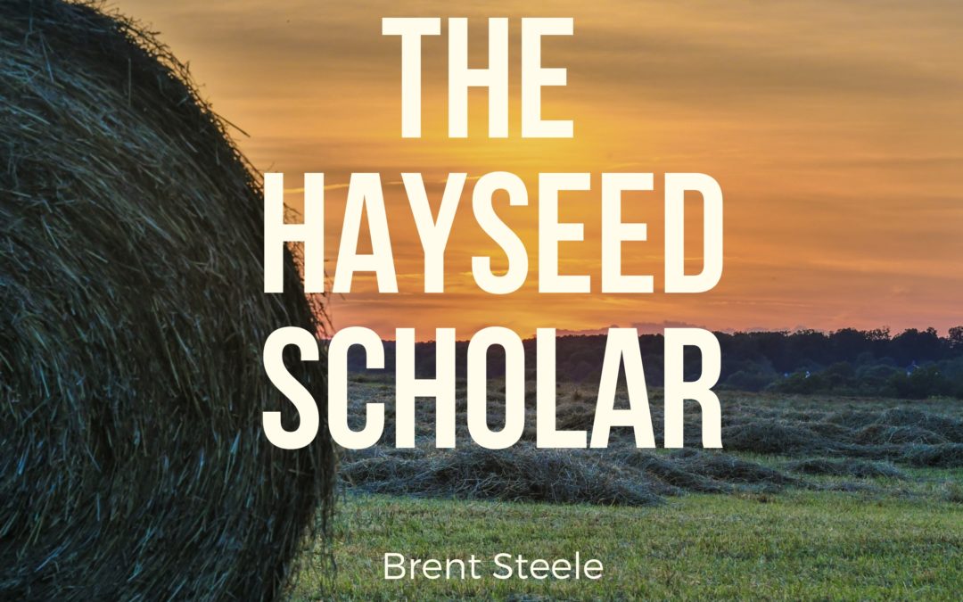 Rebecca Adler-Nissen on the Hayseed Scholar