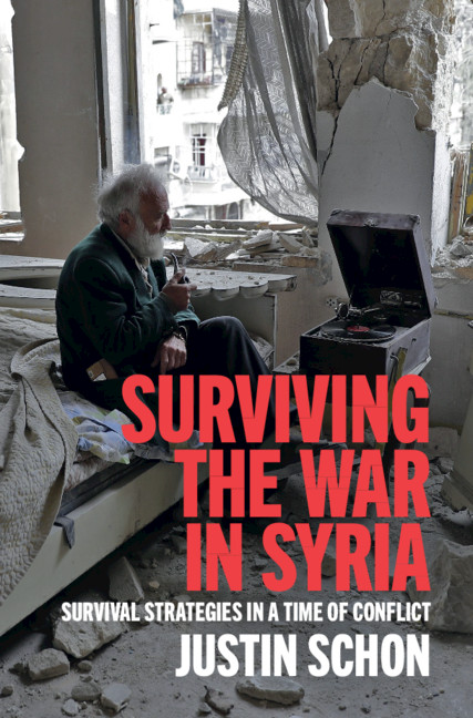 6+1 Questions about Surviving the war in syria: survival strategies in a time of conflict