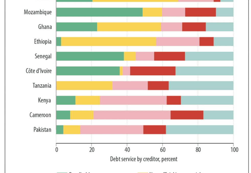 On Their Own Terms? Sovereign Debt Choices in Developing Countries