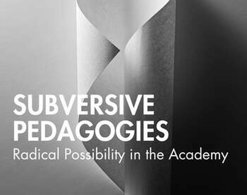 6+1 Questions about Subversive Pedagogies