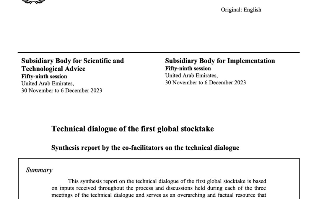 What to expect at the upcoming climate negotiations?